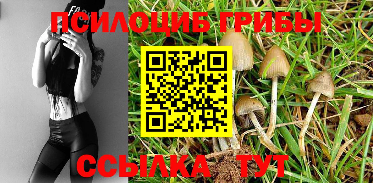 Псилоцибиновые грибы мухоморы  Вход с VPN  Курск 