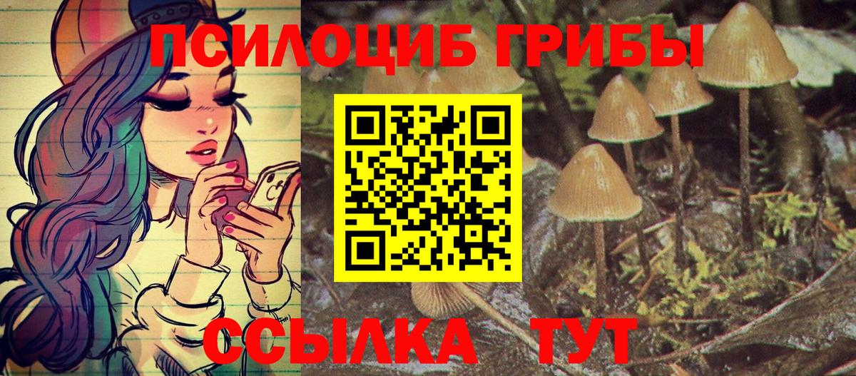 Псилоцибиновые грибы MAGIC MUSHROOMS  Курск 