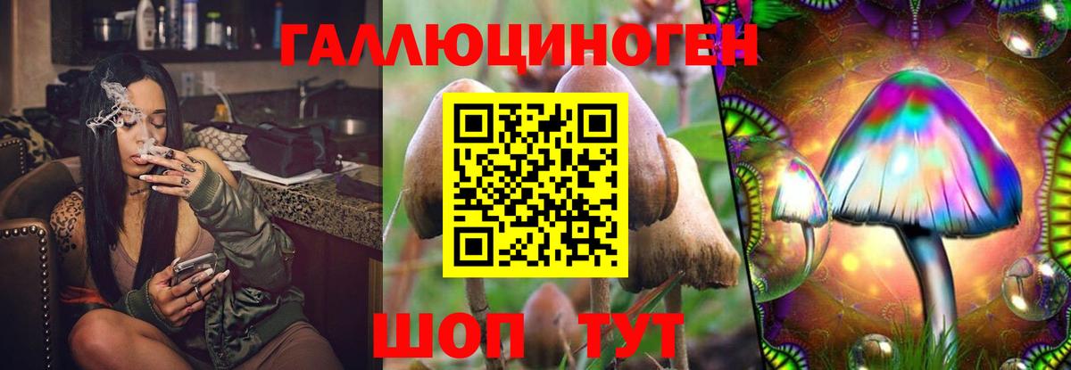 Псилоцибиновые грибы Magic Shrooms Курск